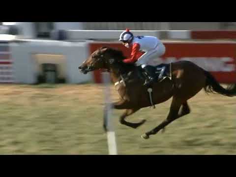 VAL D'ORCIA - Turffontein 2nd September