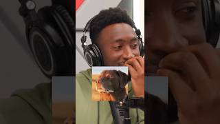 Download lagu Lossless audio on Apple's AirPods Max? #apple mp3 Download lagu Lossless audio on Apple's AirPods Max? #apple mp3