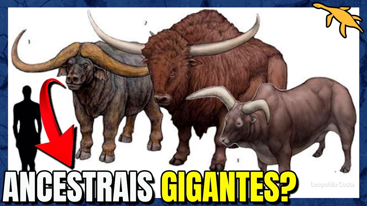 ORIGEM e EVOLUÇÃO dos BOVINOS! (Bovinae)