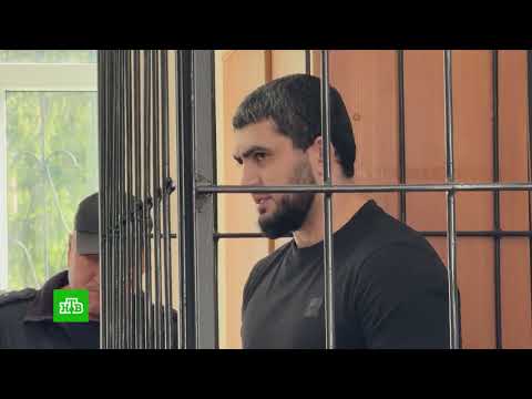 «ЯДОВИТАЯ ВОЛНА»