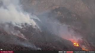 Caterpillar 311B Excavator |  Was this a Win or Fail?