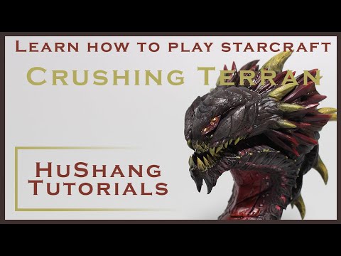 Zerg vs Terran | Example Game with Standard Build Order