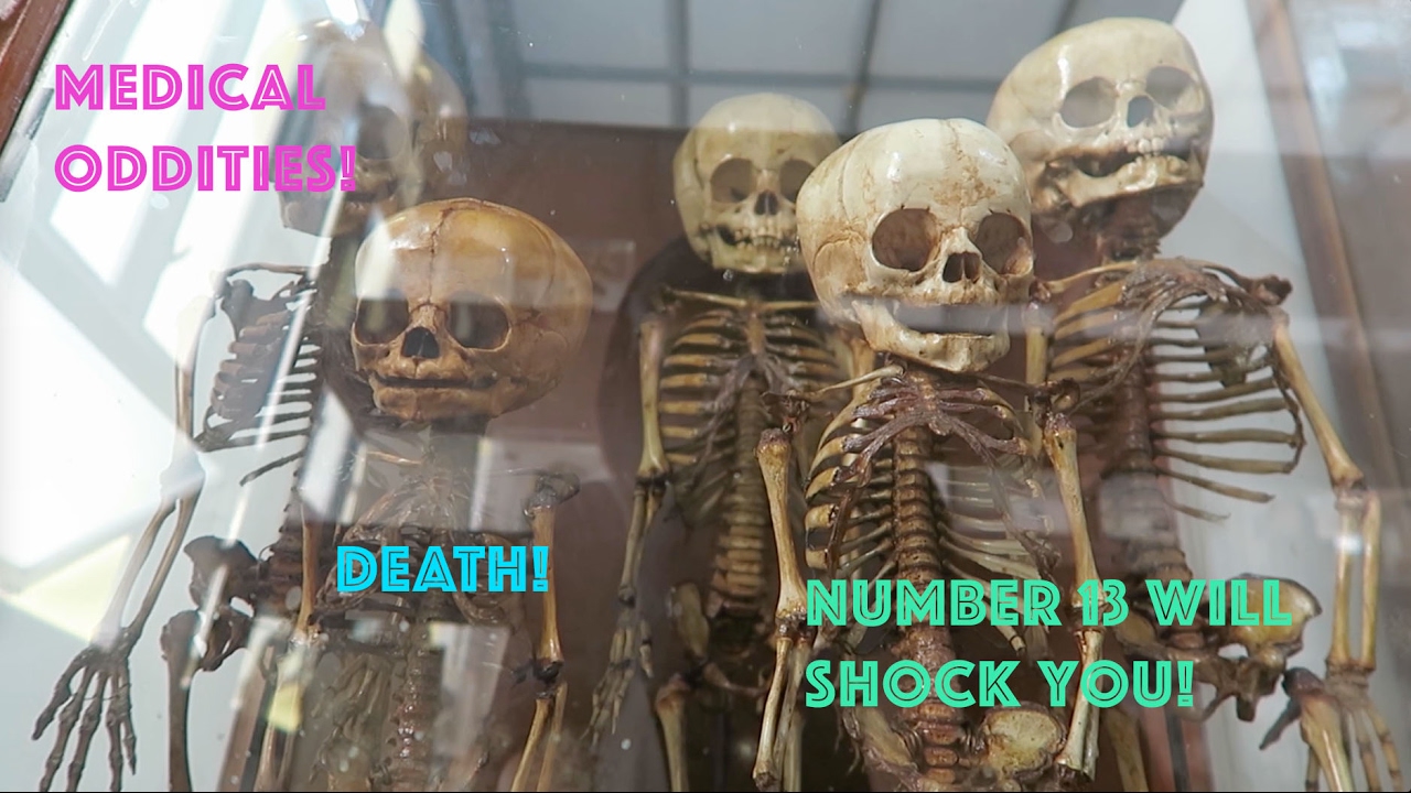 Experience the fascinating world of Siriraj Medical Museum.