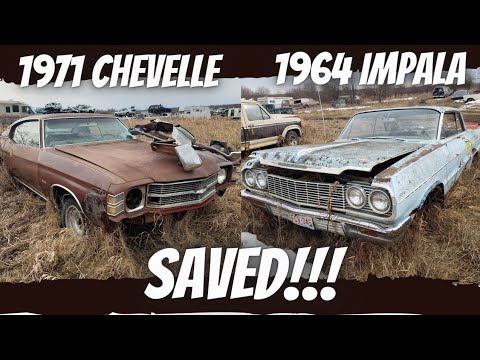 1971 Chevelle and 1964 Impala saved!!! classic Car Finds PART3/3 Scrap yard finds