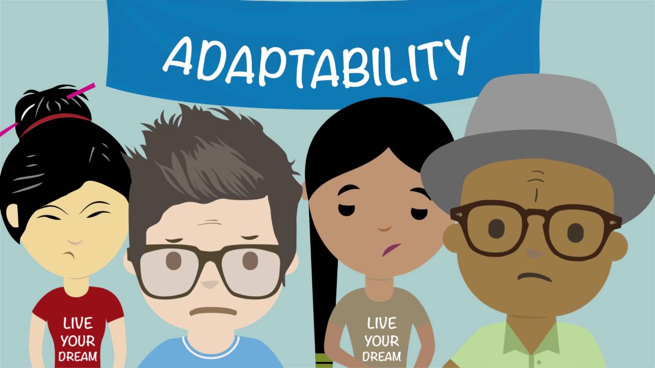 What is Organizational Culture?