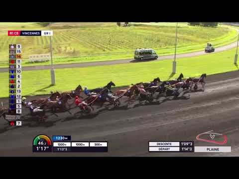 Criterium Des 3 Ans Gr1 2024 - Lovino Bello & Eric Raffin 1.13,1 2700m