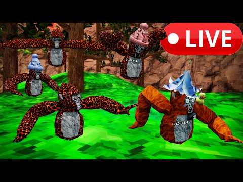 Gtag Live