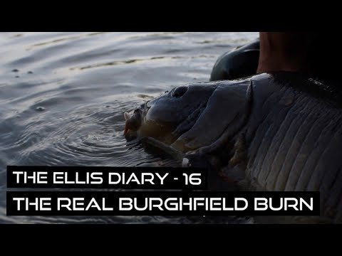 THE ELLIS DIARY - THE REAL BURGHFIELD BURN!