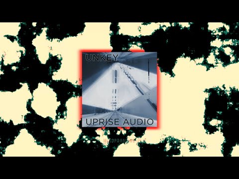 Unkey - Leng | Deep Dubstep