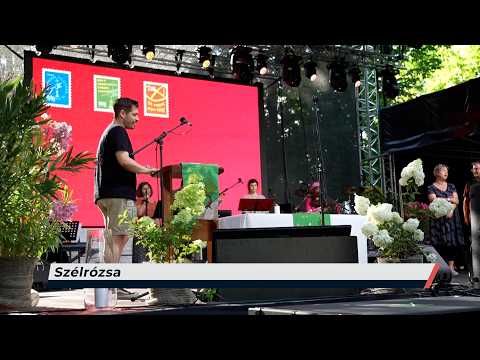 Híradó - 2026.07.10. - Péntek