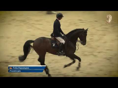 Zinedream, geb. 2014, v. Zinedine - Contender - Landadel