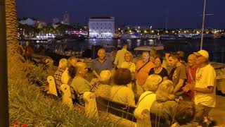 Group of friends singing Dalmatian songs at Split Harbourfront