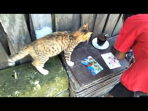 Elsa dn kak muzha ngopi bersama kakak Saahira rara wardani di halaman belakang rumah