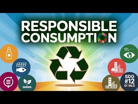 Sustainable Development Goals: Responsible Consumption and Production Explained Clearly – Insight