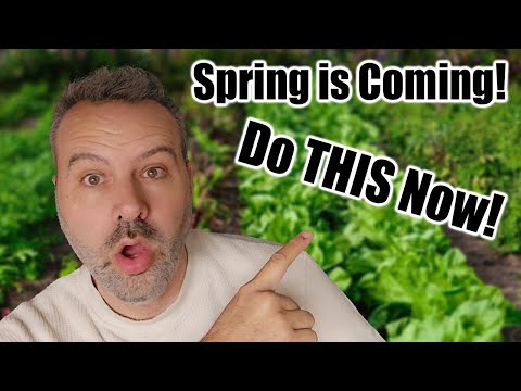 Spring Garden Seed Starting Prep