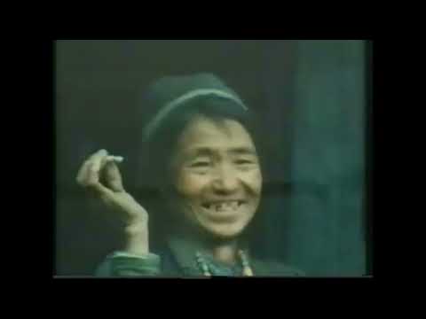 Channel 4 Launch (2nd November 1982)