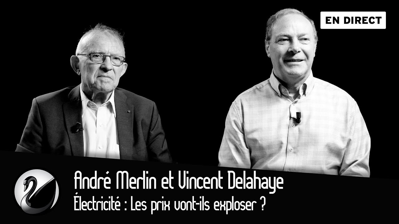 Électricité : Les prix vont-ils exploser ? André Merlin et Vincent Delahaye