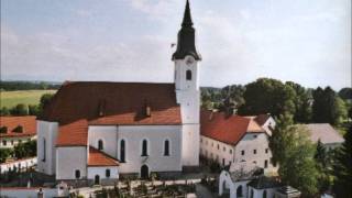 Plenum Pfarrkirche Mariae Himmelfahrt Aufkirchen