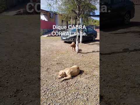 lugar  para motoviajero. PARAJE el SALADILLO Coronel Moldes salta. #diquecabracorral #motoviajero