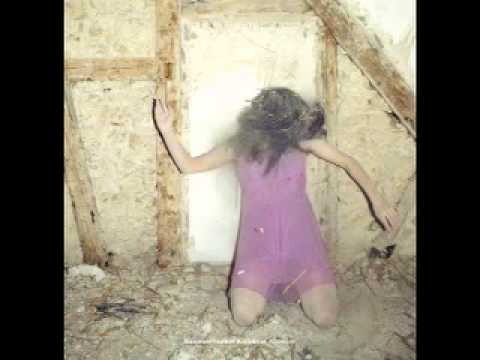 Kammerflimmer Kollektief - Lichterloh