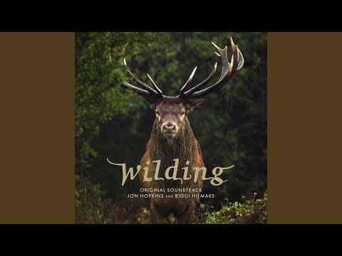 Jon Hopkins - \