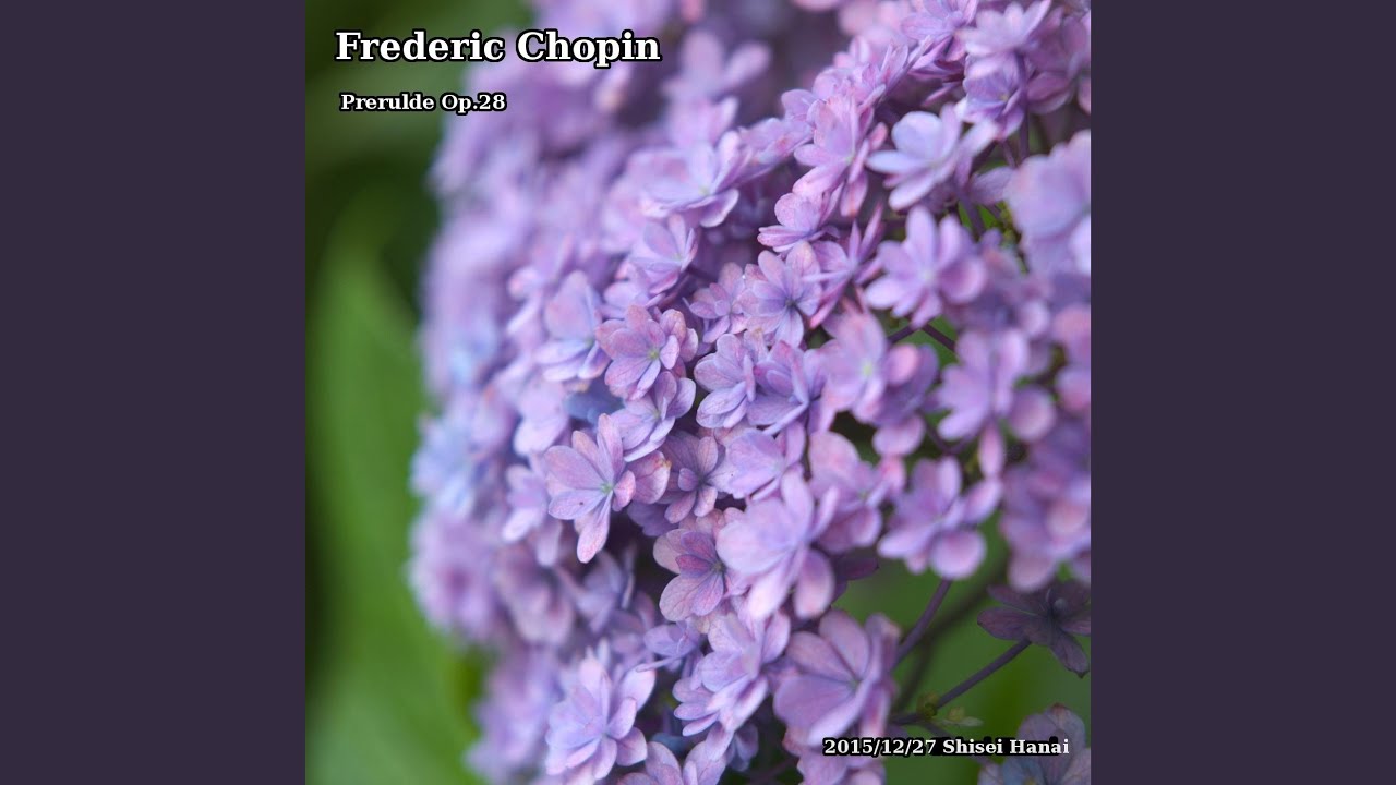 Chopin 24 Preludes, Op. 28: 11. Vivace in B Major