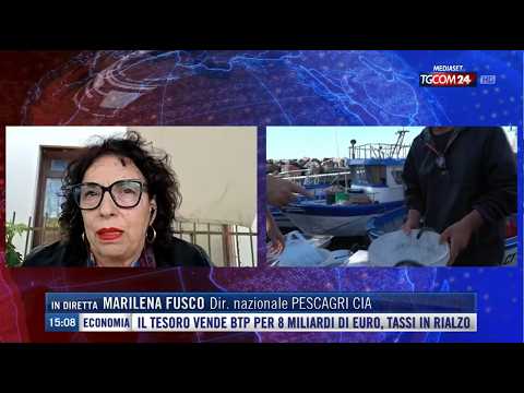 TGCOM 24 - L'impatto del caro gasolio sulla pesca. Con Marilena Fusco (Cia)
