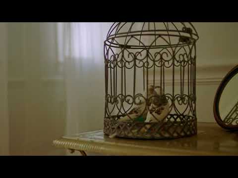 DESNUDARTE - Brytiago y Jay Wheeler