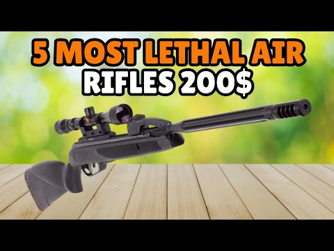 5 Most Lethal Air RIFLES Under 200$ On Amazon