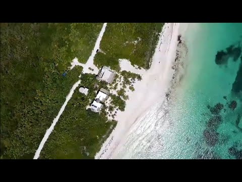 Edward Maya - 2023 New Song Ft Akcent