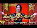 TIBETAN SONG THUNDREL BY TSERING CHOENYI མཐུན སྒྲིལ ཚེ རིང ཆོས ཉ
