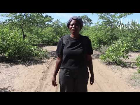 Desperately Seeking King Mandume | Africa Speaks