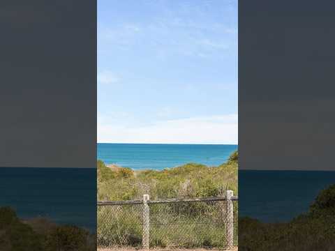 62a Brazier Road, Yanchep, WA 6035, 3 slaapkamers, 2 badkamers, House