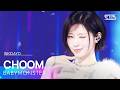 춤 CHOOM BABYMONSTER SBS 260517 방송