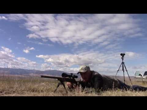 All Comes Nice Packaged Inside