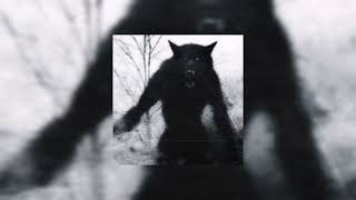 Breaking Benjamin-Feed The Wolf (Slowed+Reverb)