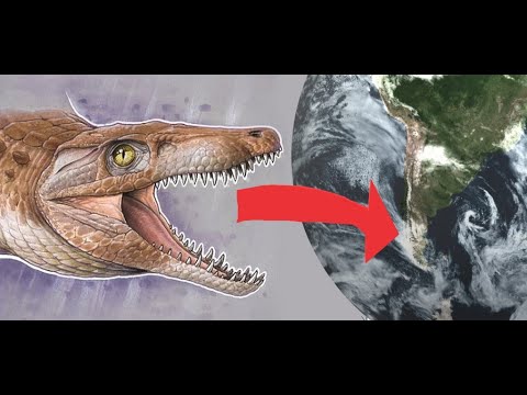 El burkesuchus, el cocodrilo enano chileno