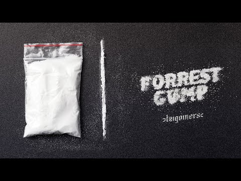 Tzigoiners - Forrest Gump | Official Visual