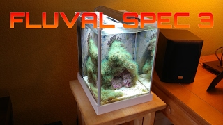 How to setup a Fluval SPEC 3 Reef tank UPDATE