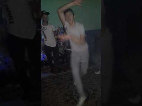 beat trasnit grebenis