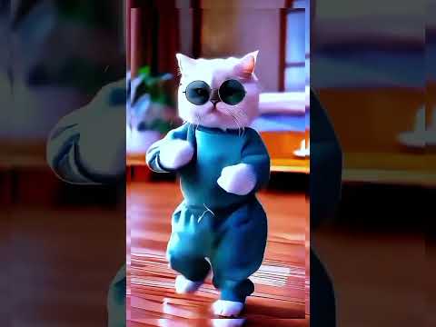 cat dance Vasant Tera tauba tauba song 🤣😂🥰