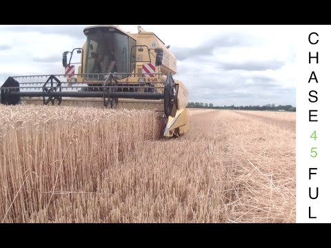 download lagu mp3 mp4 Moissonneuse Batteuse New Holland Tx 62, download lagu Moissonneuse Batteuse New Holland Tx 62 gratis, unduh video klip Moissonneuse Batteuse New Holland Tx 62