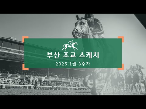 2025년 1월 3주차 부산 조교 스케치 | feat. 신승욱 전문가