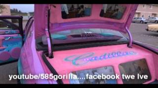 money mark still snapping