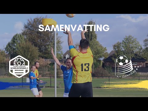 Samenvatting Scheldevogels 1 - Zaamslag 1 (04/10/2025)