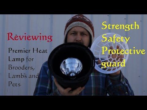Reviewing Premier Heat Lamp for Brooders, Lambs and Pets