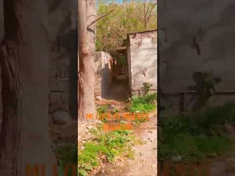 lote el puesto ingenio la esperanza jujuy argentina