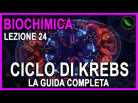 The KREBS CYCLE in 15 MINUTES: COMPLETE Guide for the EXAM - Biochemistry Lesson 24