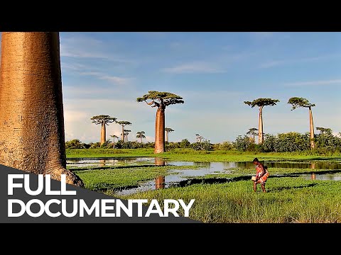 Somewhere on Earth: Best of Africa