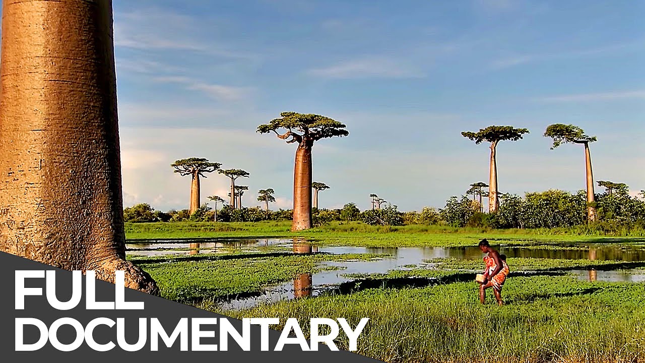 Somewhere on Earth: Best of Africa